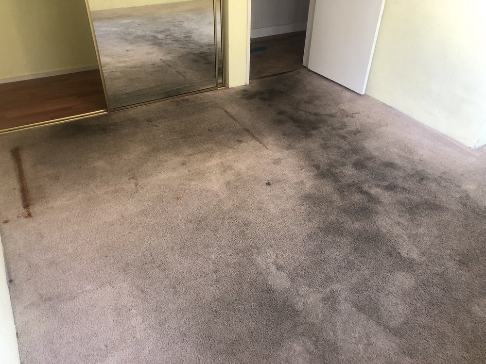 OXI FRESH CARPET CLEANING Bismarck, ND Yelp