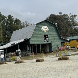 Stepp's Farm Stepp's Farm