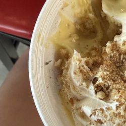 Jo's Diner - A dead gnat in the banana pudding.