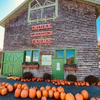 Indian Ladder Farms - What a gorgeous place!!! - Bakeries Near Me - Voorheesville, New York Indian Ladder Farms - What a gorgeous place!!! - Bakeries Near Me - Voorheesville, New York