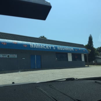 Nahacky's Aquarium - Pet Stores Near Me - Melbourne, Florida