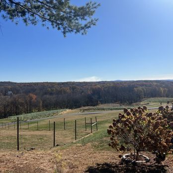Milea Estate Vineyard - Wineries Near Me - Staatsburg, New York