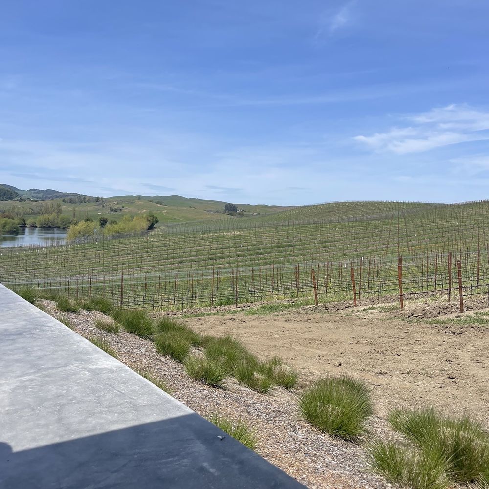 Cuvaison - Wineries Near Me - Napa, California