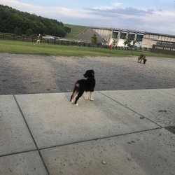 Percy Priest Dam Dog Park