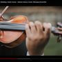 Photo of Piedmont Strings