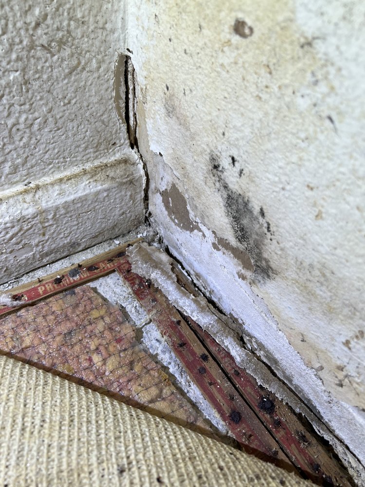 Healthy Building Science - mold inspector in San Francisco, CA