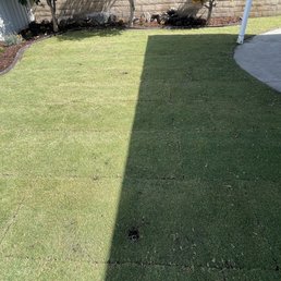 Backyard Backyard