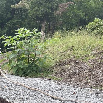 One Call To Riley - Weed killer - Lawn Services Near Me - Hillsville, Virginia One Call To Riley - Weed killer - Lawn Services Near Me - Hillsville, Virginia