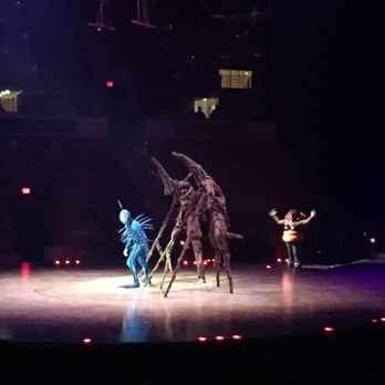 North Charleston Coliseum - August 2017--Cirque Du Soleil's OVO show at North Charleston Coliseum - Stadiums & Arenas Near Me - North Charleston, South Carolina North Charleston Coliseum - August 2017--Cirque Du Soleil's OVO show at North Charleston Coliseum - Stadiums & Arenas Near Me - North Charleston, South Carolina