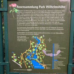 Der Verein Roseninsel Park Wilhelmshöhe