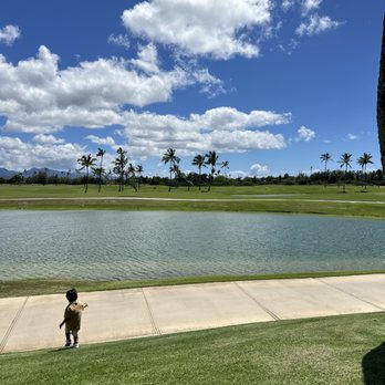 Bird of Paradise - American Near Me - Ewa Beach, Hawaii