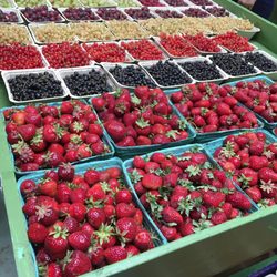 GJ Farms