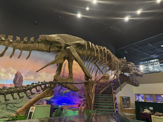 Ogden's George S. Eccles Dinosaur Park by null