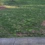 Green Machine Lawn Care
