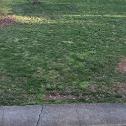 Green Machine Lawn Care