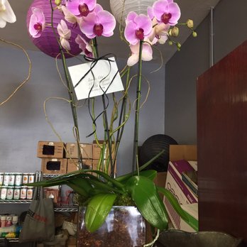 Orchids Anonymous - Nurseries & Gardening Near Me - Los Angeles, California Orchids Anonymous - Nurseries & Gardening Near Me - Los Angeles, California