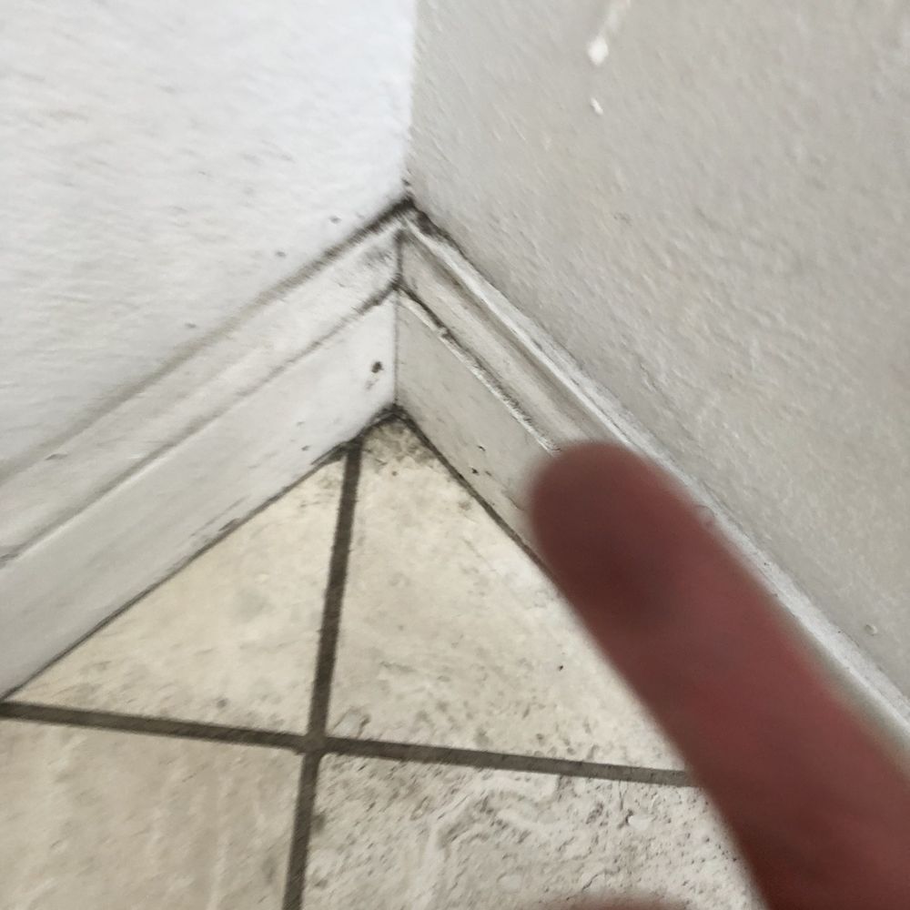 Joese House Cleaning - Filthy untouched baseboards - Home Cleaning Near Me - Los Angeles, California Joese House Cleaning - Filthy untouched baseboards - Home Cleaning Near Me - Los Angeles, California