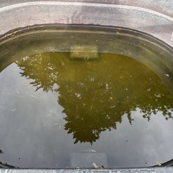 Lake Oswego Hunt Riding Academy - Gross water troughs