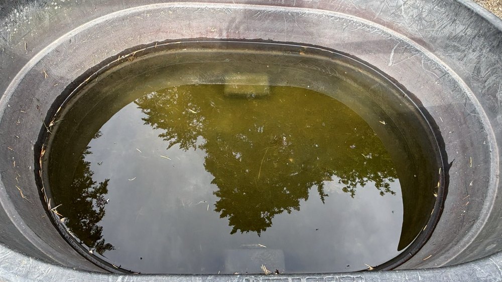 Lake Oswego Hunt Riding Academy - equestrian in Lake Oswego, OR