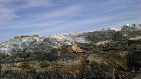 Parque Nacional Tierra del Fuego by null