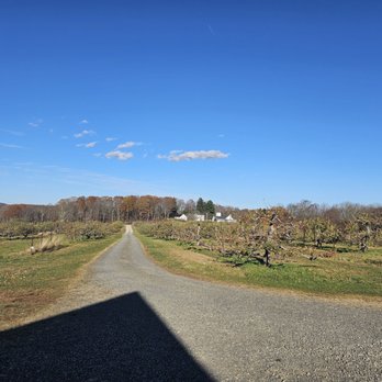 Averill Farm - Farmers Market Near Me - Washington Depot, Connecticut