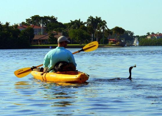 Happy Paddler Kayak Tours & EcoVentures by null