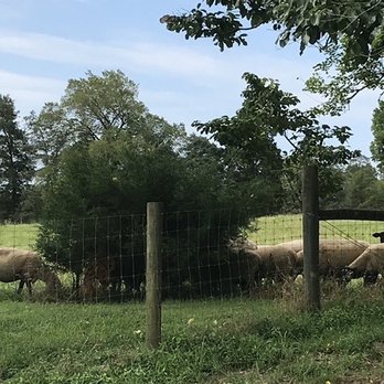Windy Knoll Farm - Venues & Event Spaces Near Me - Nokesville, Virginia
