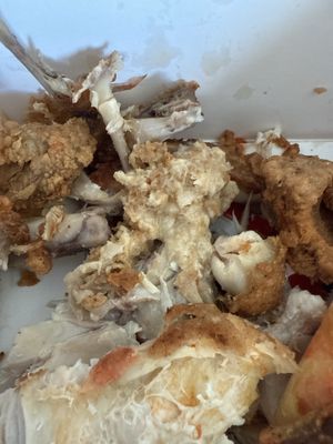 Chicken King by null