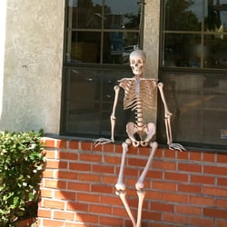 Robert L Ammirati, DC - Mr Bones patiently awaits your visit.