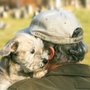 Photo of Groff Pet Loss Services