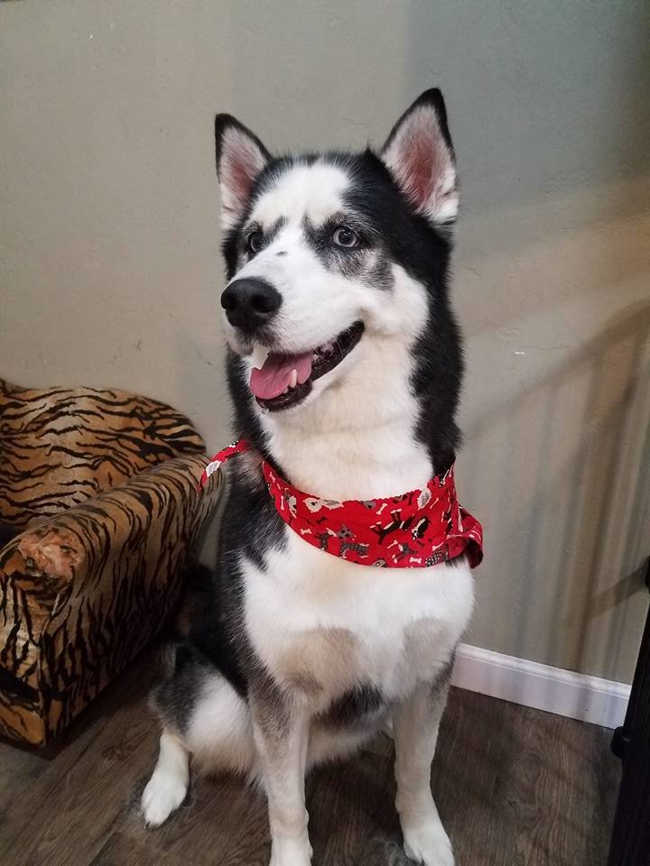 MARCIE’S PET SPA Updated August 2024 109 W Fond Du Lac St, Ripon