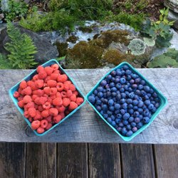 Johnnycake Flats Inn - Homegrown blueberries and raspberries