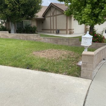 Gavino Tree Service - After - Tree Services Near Me