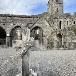 Sligo Abbey