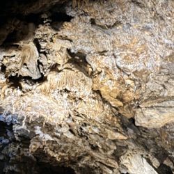 Black Chasm Cavern - Helictites