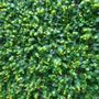 Photo of Artificial Mundo