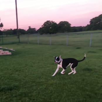 Bedford Bark Park - Dog Parks Near Me - Bedford, Texas Bedford Bark Park - Dog Parks Near Me - Bedford, Texas