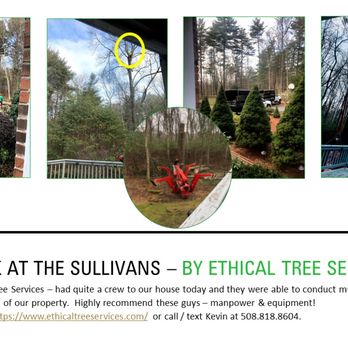 Ethical Tree Services - Tree Services Near Me