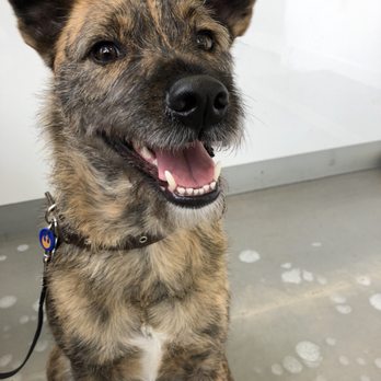 edgewater veterinary clinic