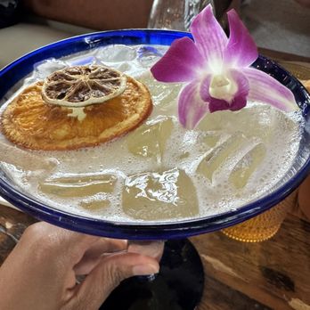 VIDA Cocina & Tequila - New Mexican Cuisine Near Me - Altamonte Springs, Florida VIDA Cocina & Tequila - New Mexican Cuisine Near Me - Altamonte Springs, Florida