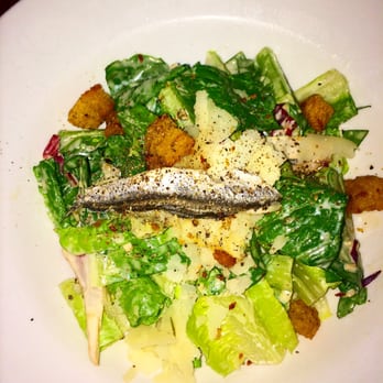 Wild Olive - Caser Salad - Italian Near Me - Johns Island, South Carolina Wild Olive - Caser Salad - Italian Near Me - Johns Island, South Carolina