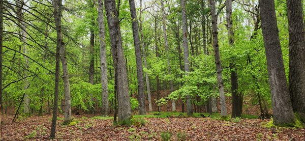 Castile Entrance / Letchworth State Park by null
