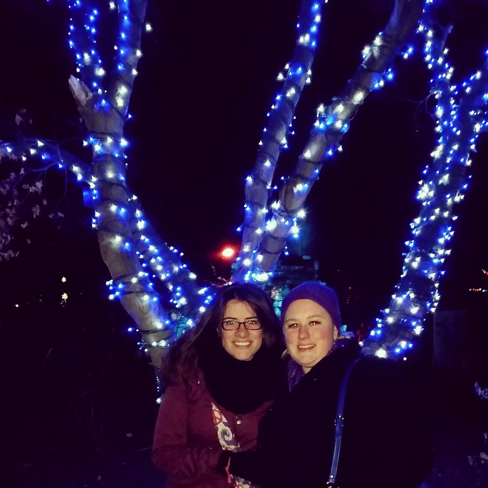 ZooLights - Zoos Near Me - Washington, DC, District of Columbia
