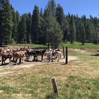 Alpine Meadows Stables - Horseback Riding Near Me - Tahoe City, California