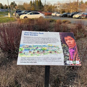 Jimi Hendrix Park - Rain garden - Parks Near Me - Seattle, Washington