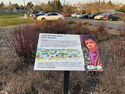 Jimi Hendrix Park by null