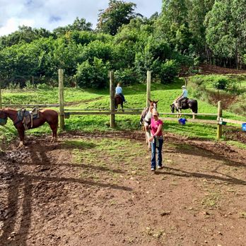 Wailea Horseback Adventure - Horseback Riding Near Me - Hakalau, Hawaii