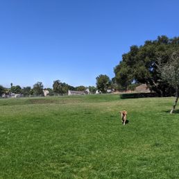 One view of the expanse of the large dog park. One view of the expanse of the large dog park.