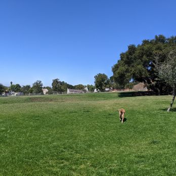 Paws Parks - One view of the expanse of the large dog park. - Dog Parks Near Me - Buellton, California Paws Parks - One view of the expanse of the large dog park. - Dog Parks Near Me - Buellton, California