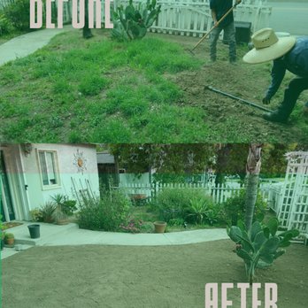 Toledos Gardens - We leveled the yard from uneven and rough to smooth and ready for landscaping -- a complete before-and-after transformation. - Gardeners Near Me - Alhambra, California Toledos Gardens - We leveled the yard from uneven and rough to smooth and ready for landscaping -- a complete before-and-after transformation. - Gardeners Near Me - Alhambra, California
